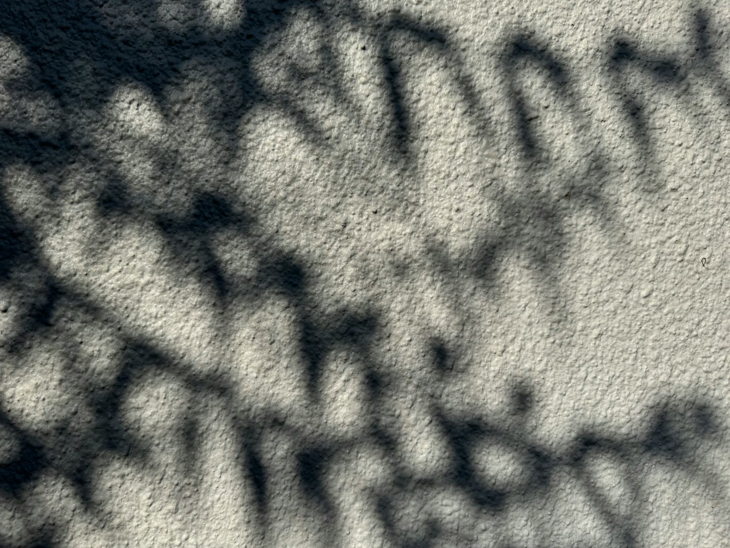 Lövskuggor kastar mönster på en texturerad stenvägg.